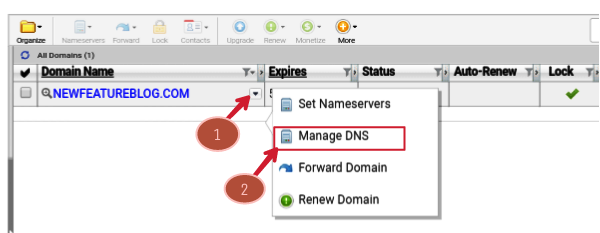 click-on-manage-dns-of-domain-drop-down-menu