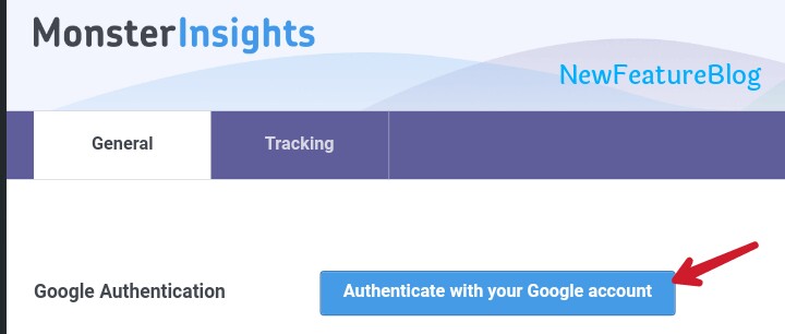 authenticate monsteInsights with google account