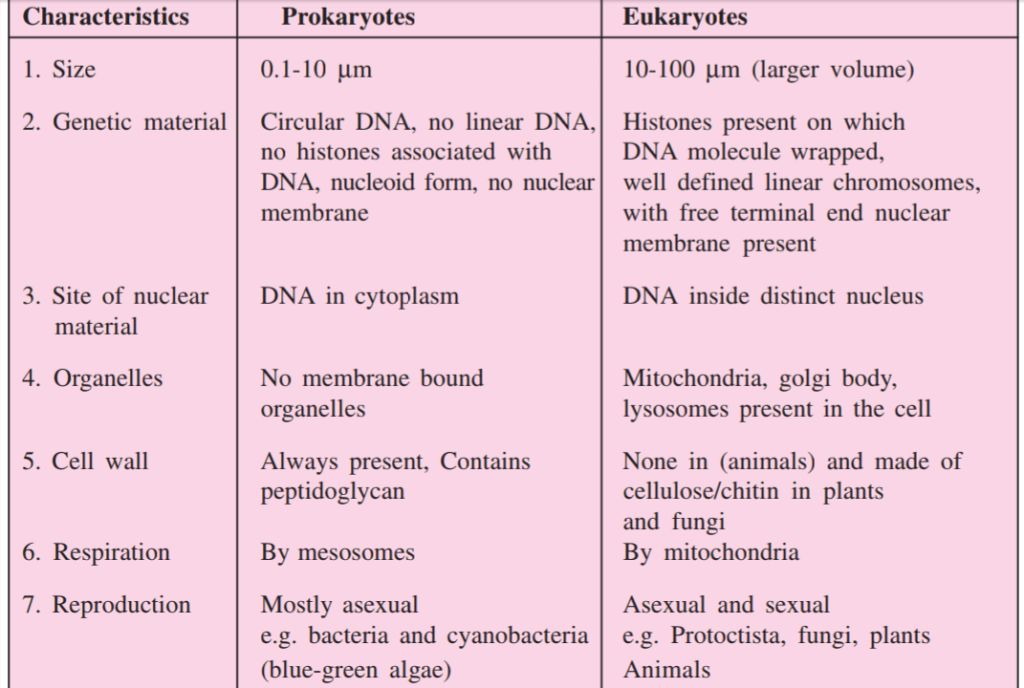 difference between prokaryotes and eukaryotes