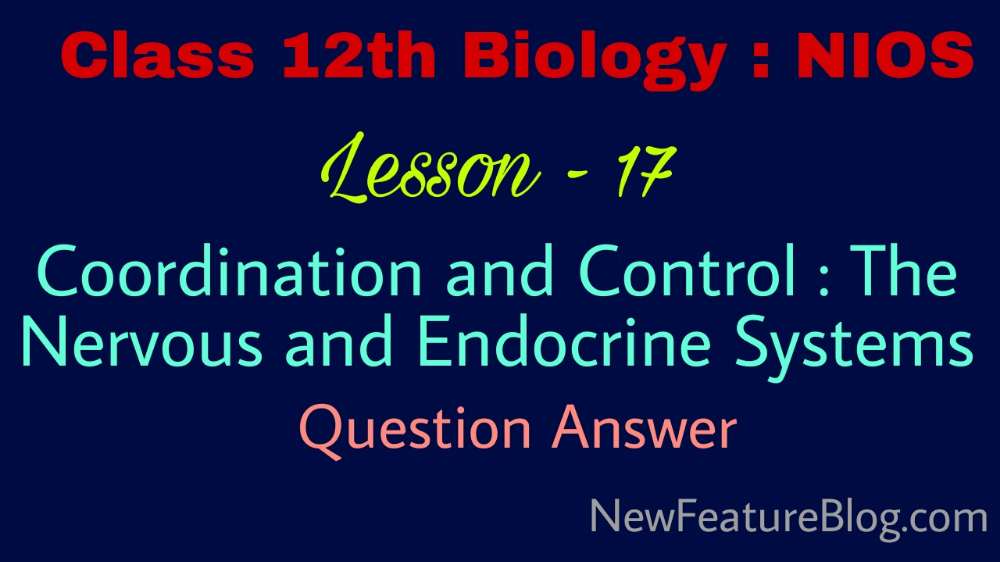 Coordination & Control : The Nervous & Endocrine Systems | 12th Class Biology Q Ans Lesson 17 - NIOS