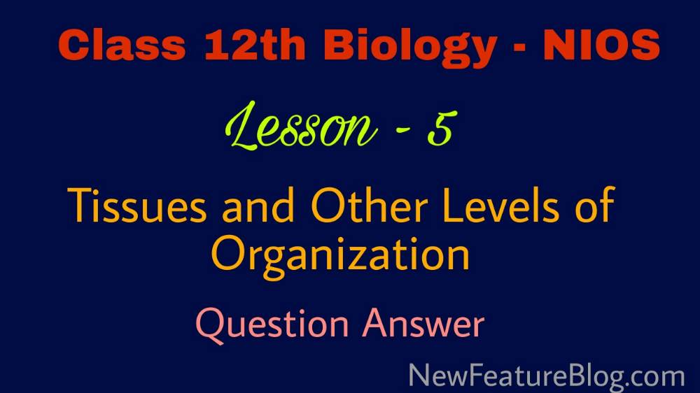 Tissues & Others Level of Organization : 12th Class Biology Question Answer Lesson 5 - NIOS