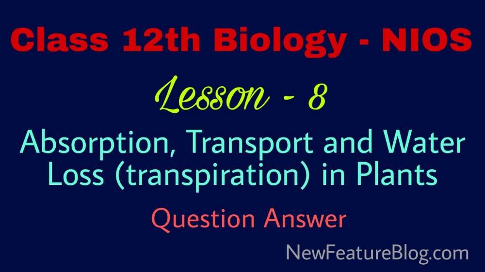 Absorption, Transport & Water Loss (Transpiration) in Plants : 12th Class Biology Q Ans Lesson 8 - NIOS