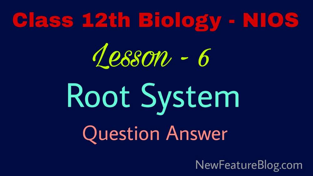 Root System : 12th Class Biology Question Answer Lesson 6 - NIOS